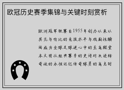 欧冠历史赛季集锦与关键时刻赏析