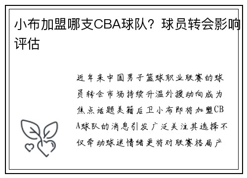 小布加盟哪支CBA球队？球员转会影响评估