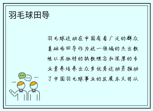 羽毛球田导